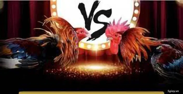 Thống Lĩnh Đấu Trường Đá Gà ABC8 Đẳng Cấp Hàng Đầu Châu Á