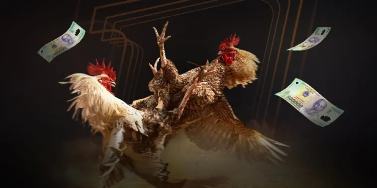 Thống Lĩnh Đấu Trường Đá Gà ABC8 Đẳng Cấp Hàng Đầu Châu Á